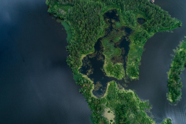 Comparatif 5950X et 5900X : performances et prix décryptés