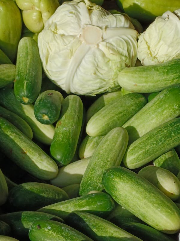 Écologie et savoureux ateliers au cœur des Ardennes